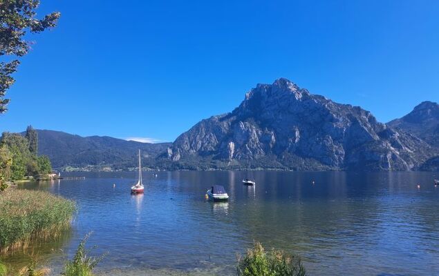 Villa Rose - Photo 57