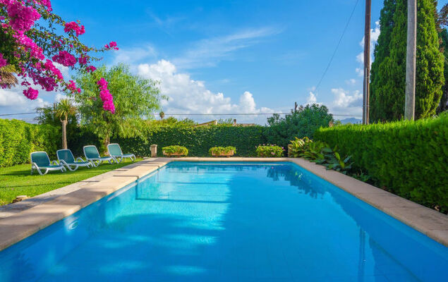 La Truyola Pool Finca - Photo 36