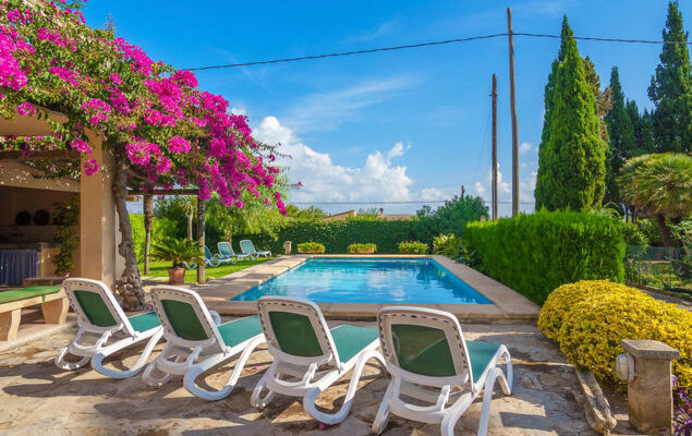 La Truyola Pool Finca - Photo 38