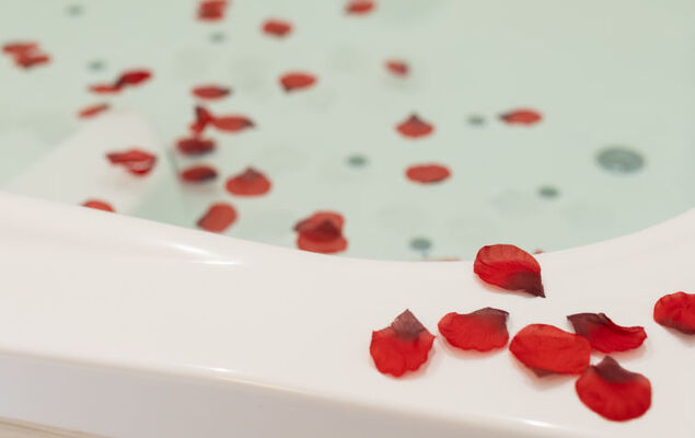 Deluxe Altemar - Photo 20