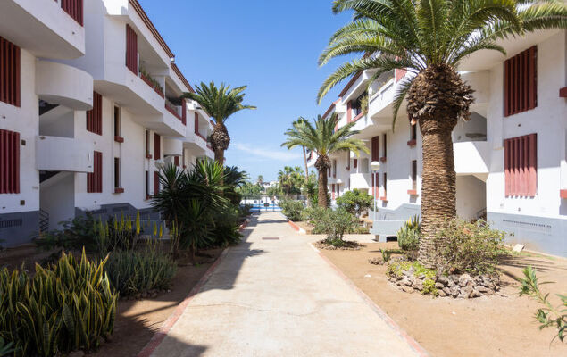 Deluxe Altemar - Photo 34