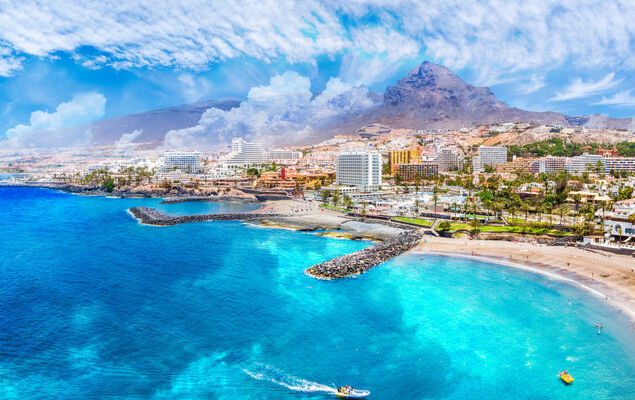 Deluxe Altemar - Photo 36