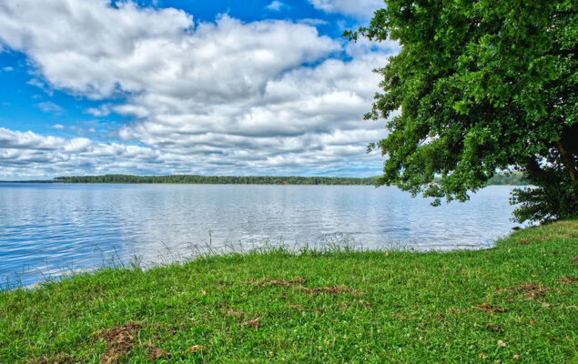 Cottage Etoile de mer - Photo 17
