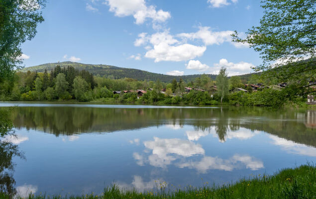 Am Hohen Bogen - Photo 25