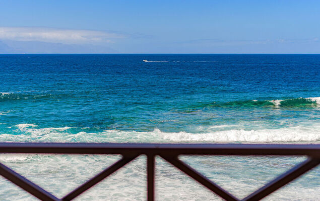 Blue Neptuno - Photo 23