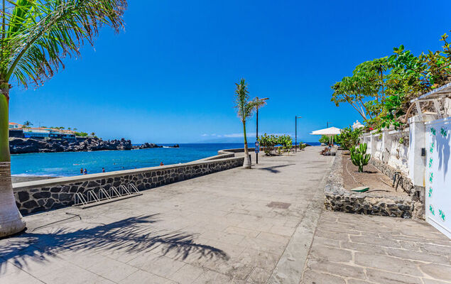 Blue Neptuno - Photo 25