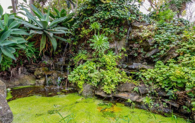 Villa Torrita - Photo 35