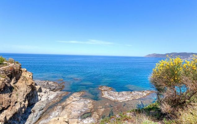 Palmiers I - Photo 4