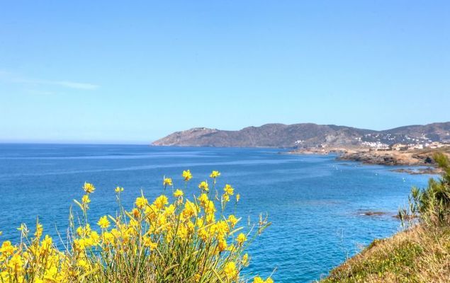 Palmiers I - Photo 5